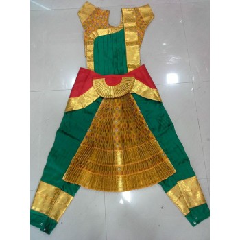 Bharatanatyam Costumes